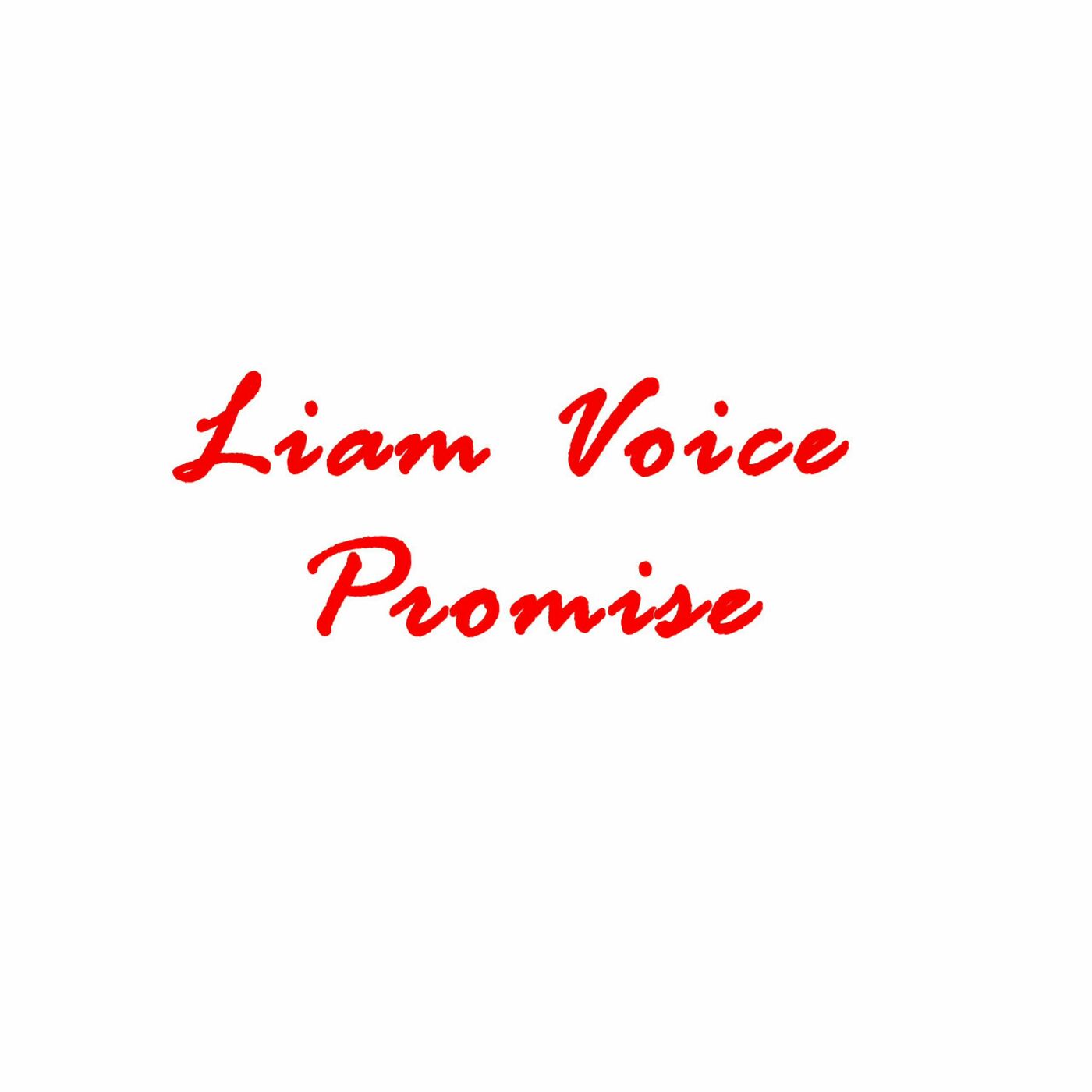 liam-voice-promise-album-cover