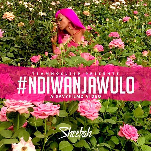 sheebah-ndiwanjawulo-album-cover