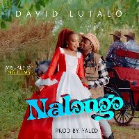 david-lutalo-nalongo-album-cover