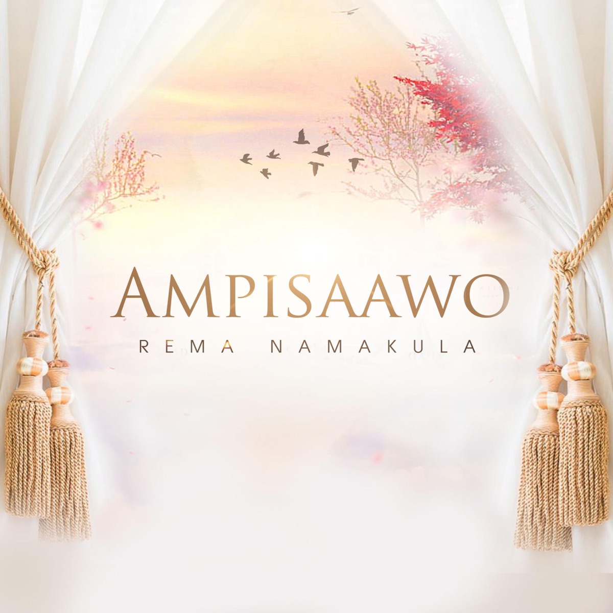 rema-namakula-ampisaawo-album-cover