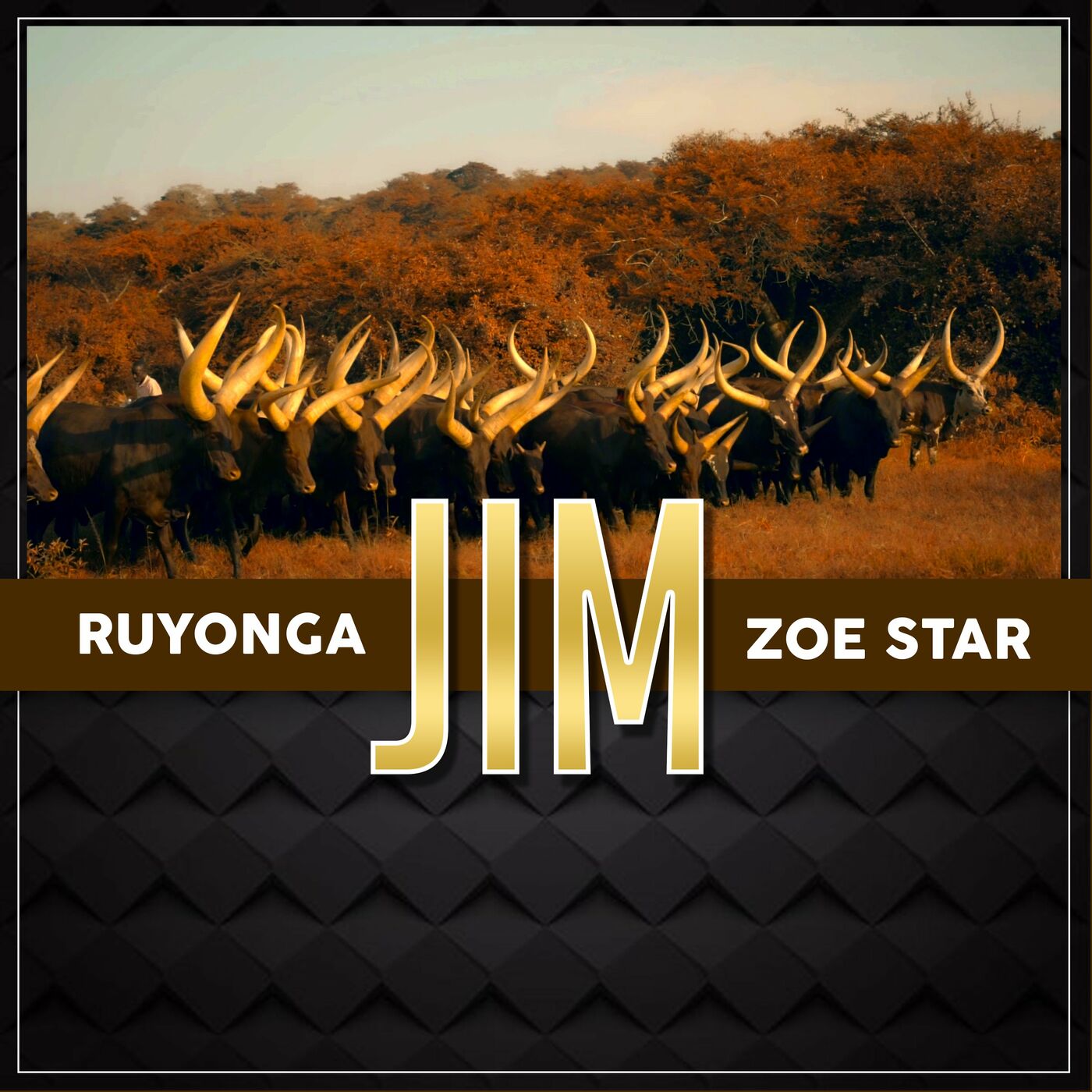 ruyonga-jim-album-cover