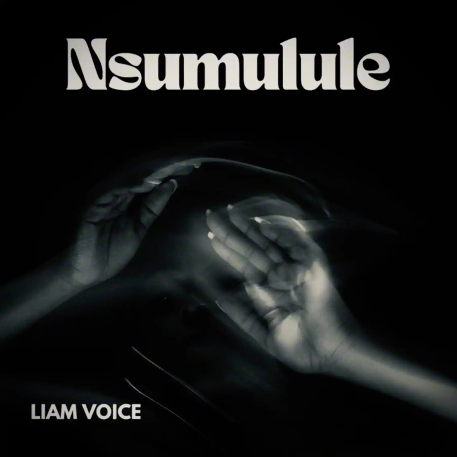 liam-voice-nsumulule-album-cover