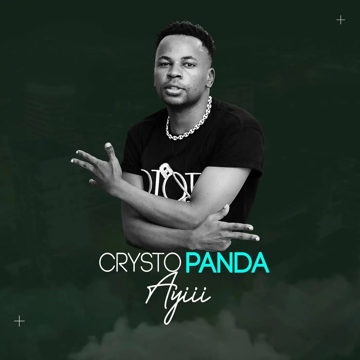 crysto-panda-tuli-mu-struggle-album-cover