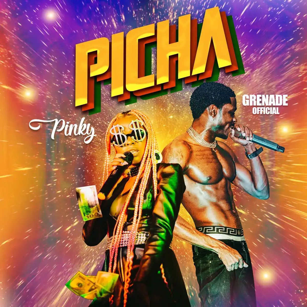 pinky-picha-album-cover