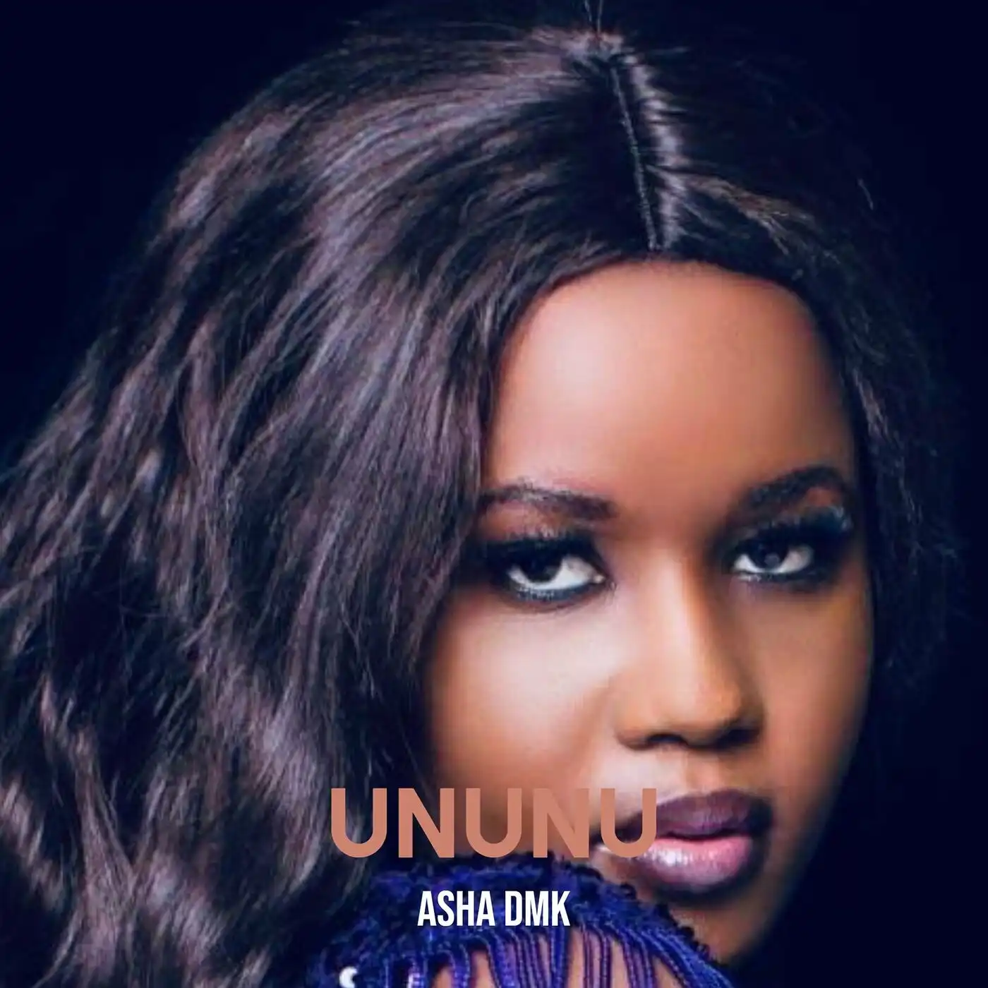 asha-dmk-ununu-album-cover