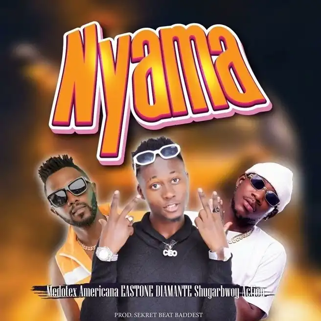 medotex-americana-nyama-album-cover