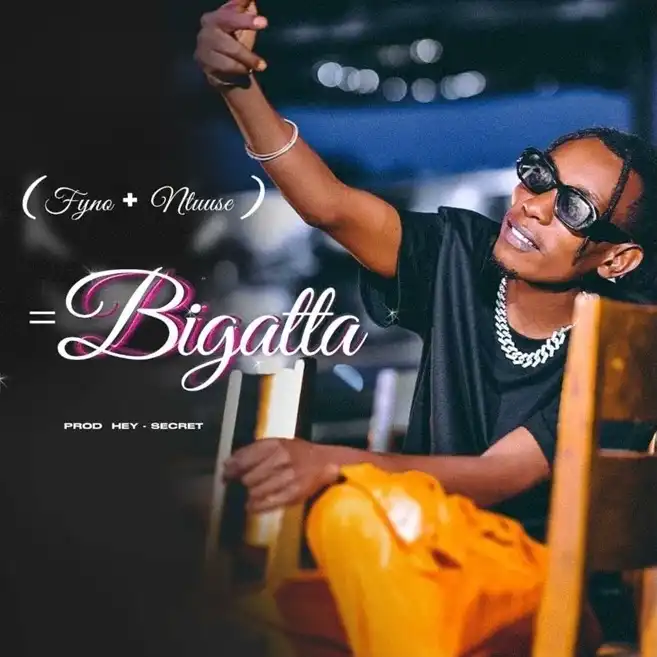 fyno-bigatta-album-cover