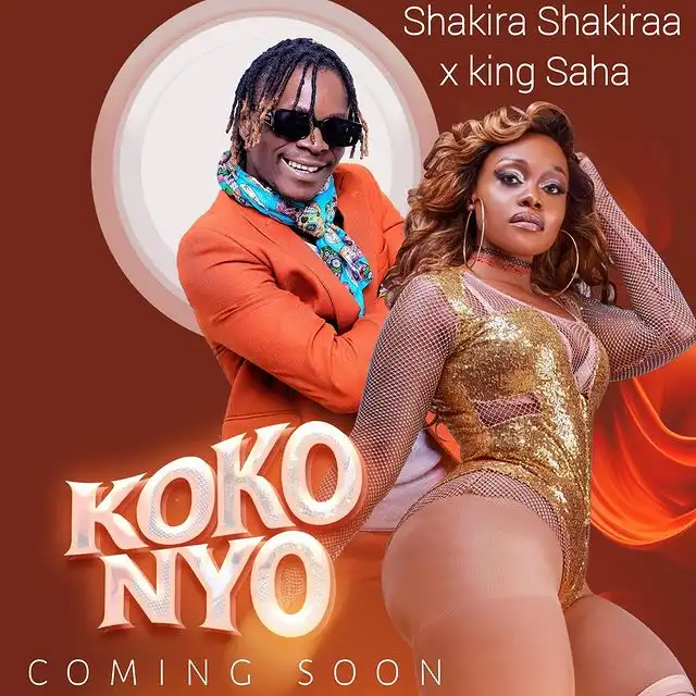 shakira-shakiraa-kokonyo-album-cover