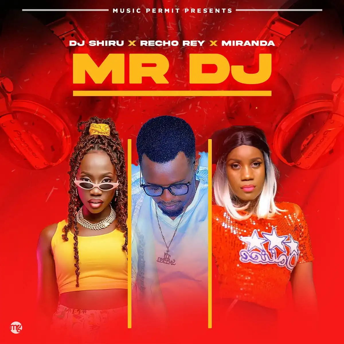 dj-shiru-mr-dj-album-cover