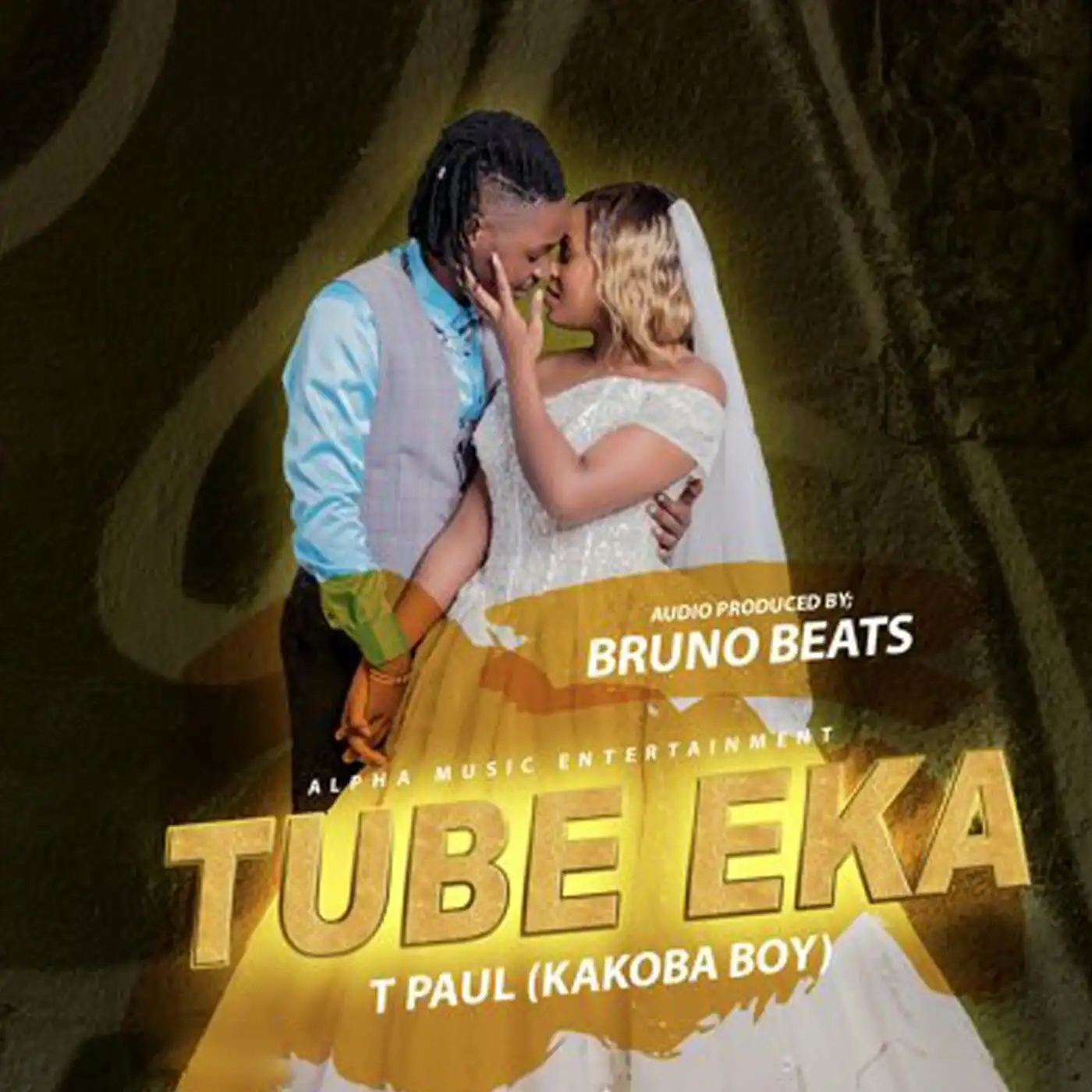 t-paul-256-tube-eka-album-cover