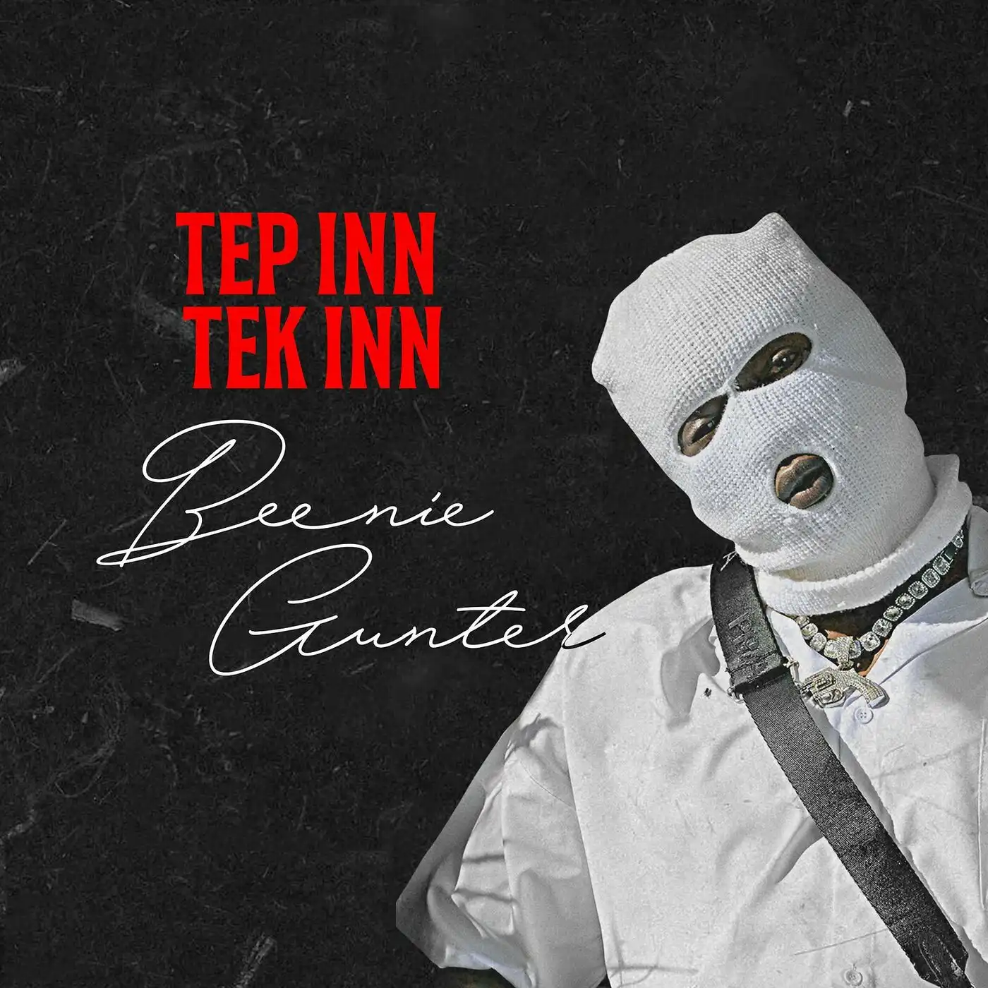 beenie-gunter-tep-inn-tek-inn-album-cover