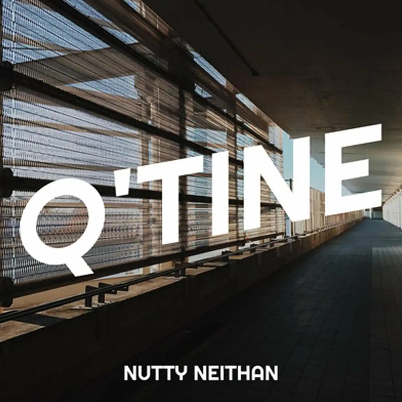 nutty-neithan-se-se-album-cover