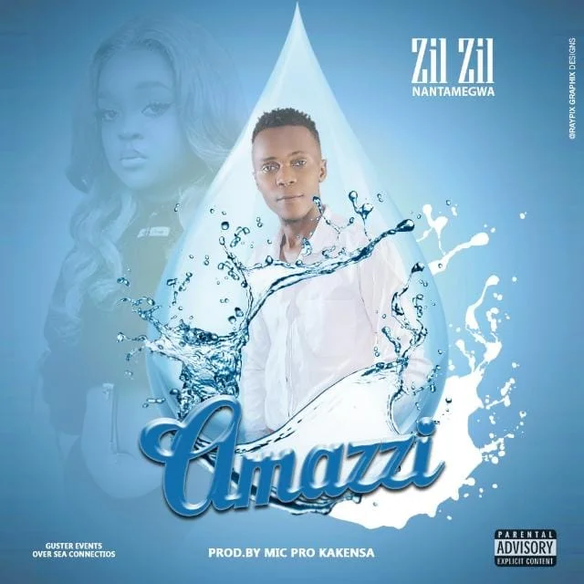 zil-zil-amazzi-album-cover