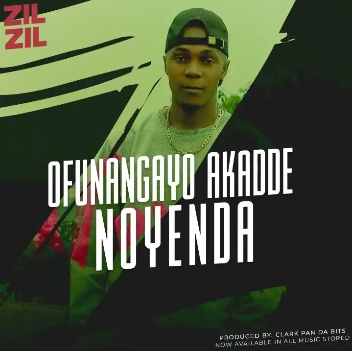 zil-zil-ofunangayo-akadde-noyenda-album-cover