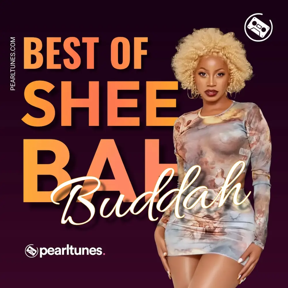 dj-buddah-best-of-sheebah-nonstop-mix-album-cover