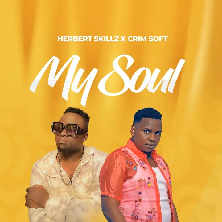 herbert-skillz-my-soul-album-cover