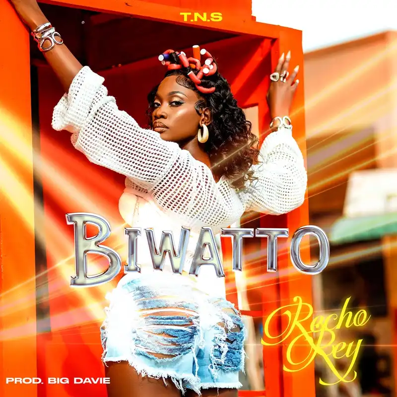 recho-rey-biwatto-album-cover