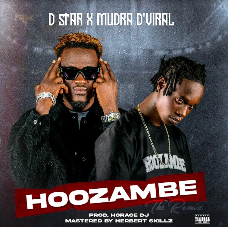 d-star-hoozambe-hoozambe-album-cover