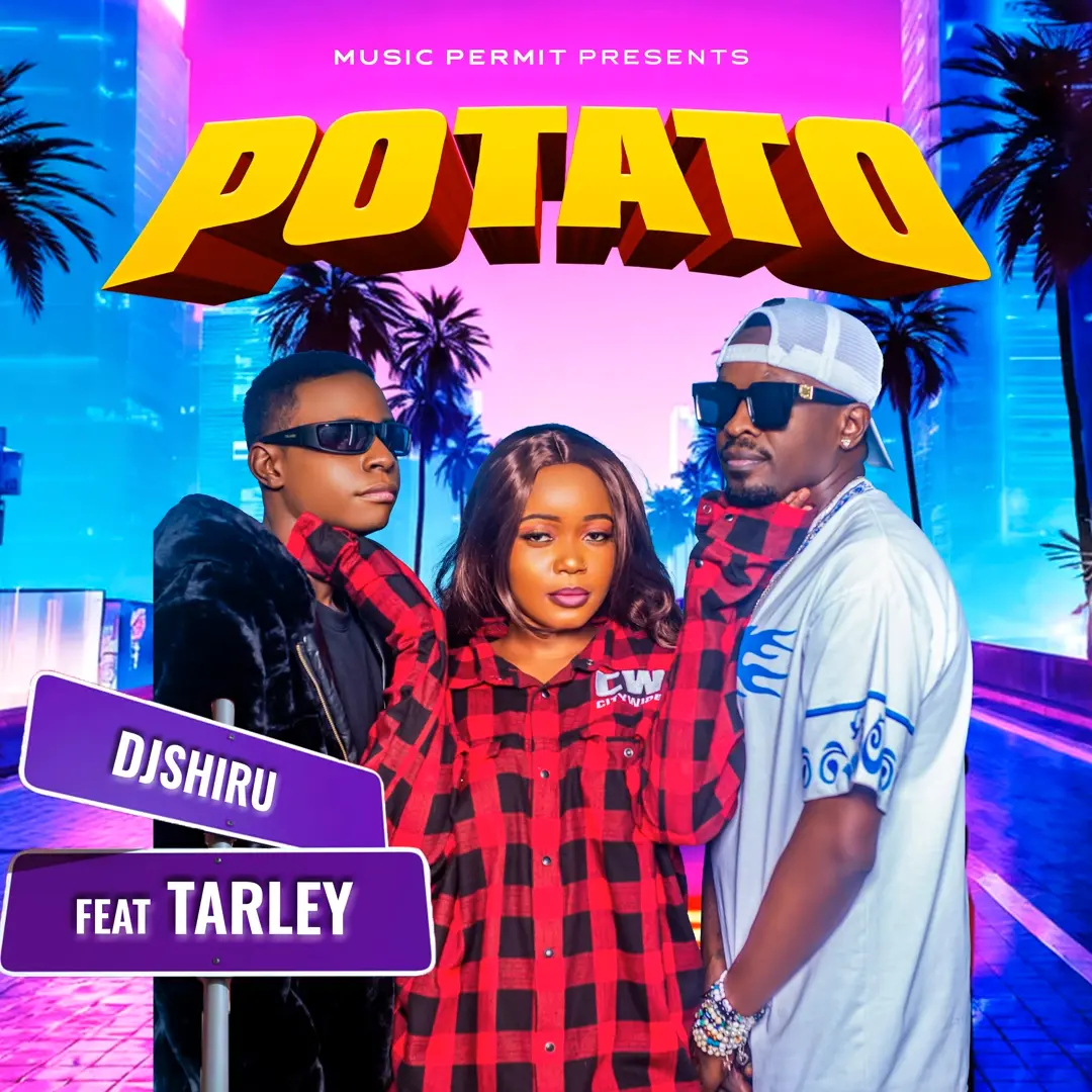 dj-shiru-potato-album-cover