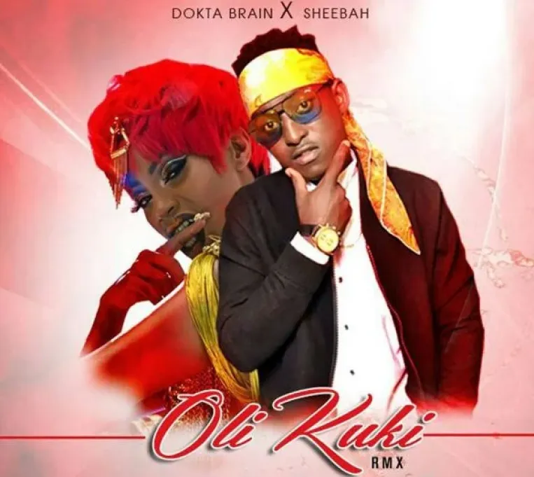 dokta-brain-oli-kuki-album-cover