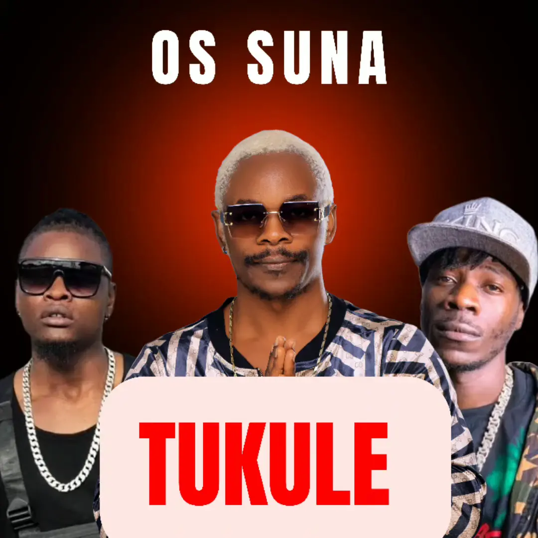 os-suna-tukule-alien-skin-and-pallaso-album-cover