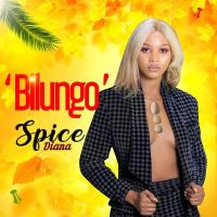 Bilungo - Spice Diana 