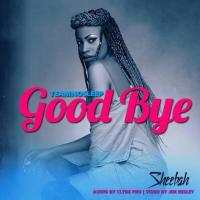 Goodbye Lyrics - Sheebah 