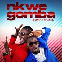 Nkwegomba - Radio & Weasel