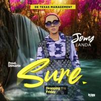 Sure - Jowy Landa 