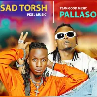 TEWEKOYA Lyrics - Pallaso ft. Sad Torsh