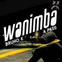 Wanimba - A Pass ft. Bruno K