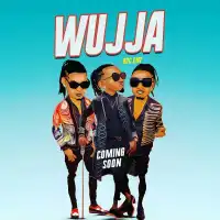 Wujja (Acapella) Lyrics - B2C 