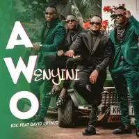 Awo - B2C ft. David Lutalo