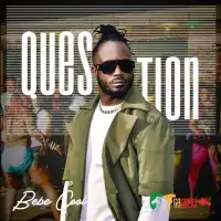 Question - Bebe Cool 