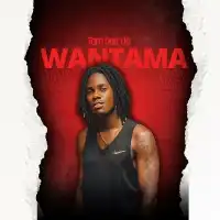 Wantama Lyrics - TomDee UG 