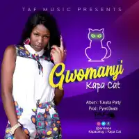 Gwomanyi Lyrics - Kapa Cat 