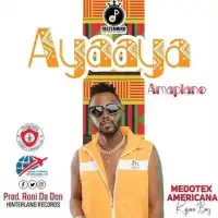 Ayaaya - Medotex Americana 