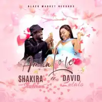 Am in Love - Shakira Shakiraa ft. David Lutalo