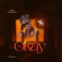 It's Okay - Acidic Vokoz 