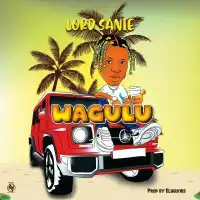 Wagulu - Lord Sanie 