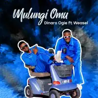 Mulungi Omu - Weasel, Dinaro Ogie 