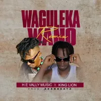 WAGULEKA WANO - H.E Vally Music, King Lion 