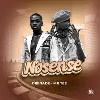 Nonsense - Grenade Official ft. Mr. Tee