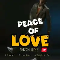 Peace of Love - Shon Wyz